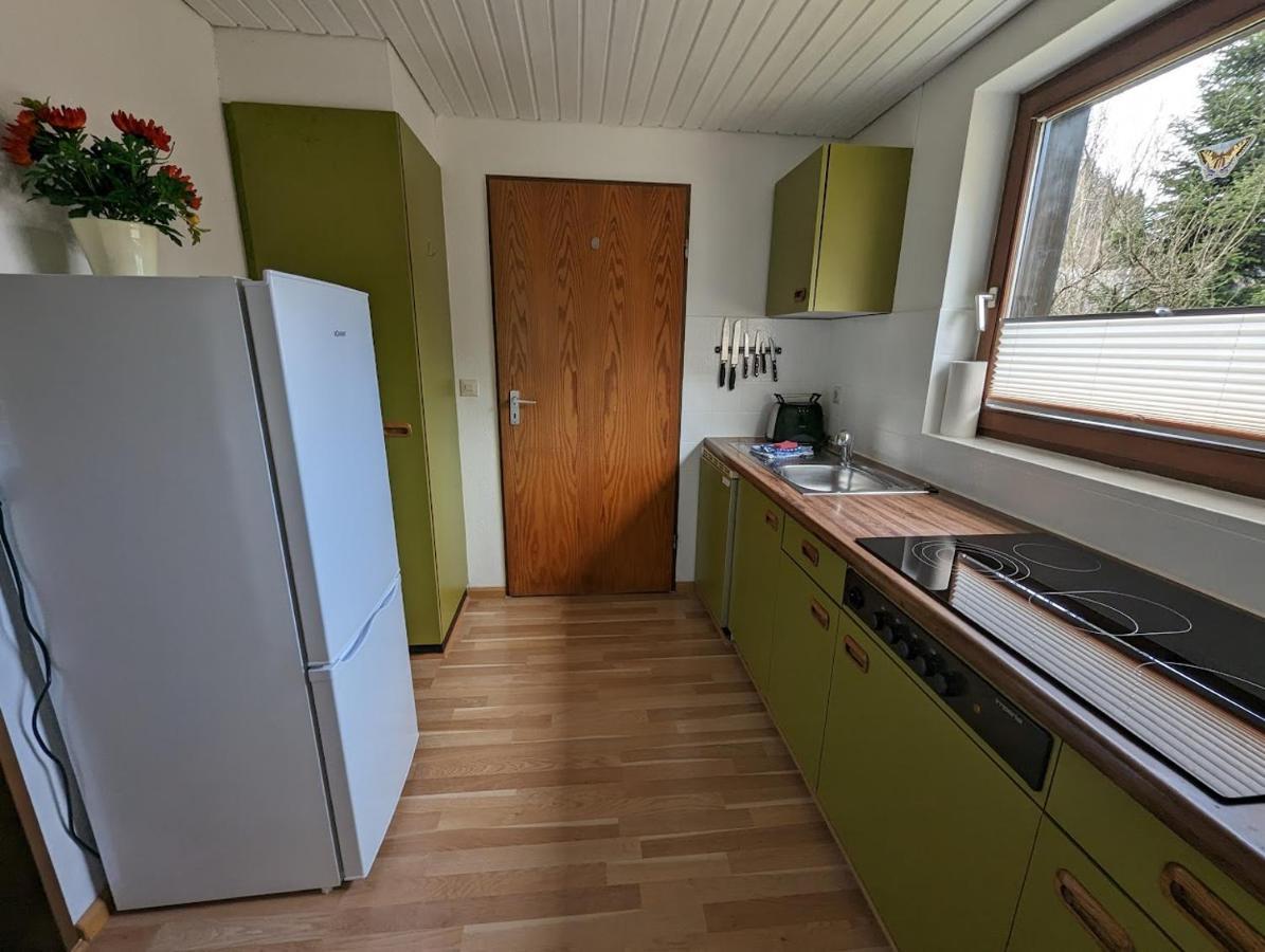 B1 Albmatte-Fewo Sauna, Hallenbad Aussenbecken Massagen Nebenan Menzenschwand Exterior photo